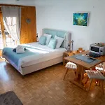 Aparthotel Le Vieux Valais 3*