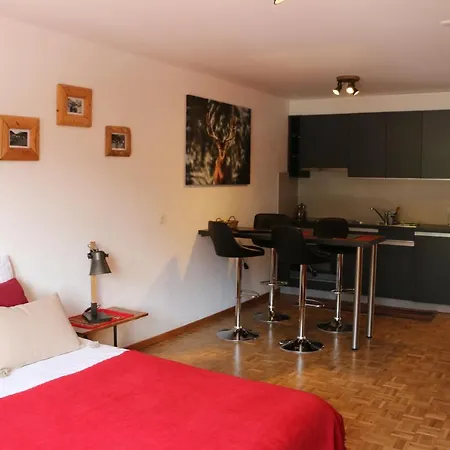 Aparthotel Le Vieux Valais