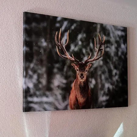 Lägenhetshotell Le Vieux Valais