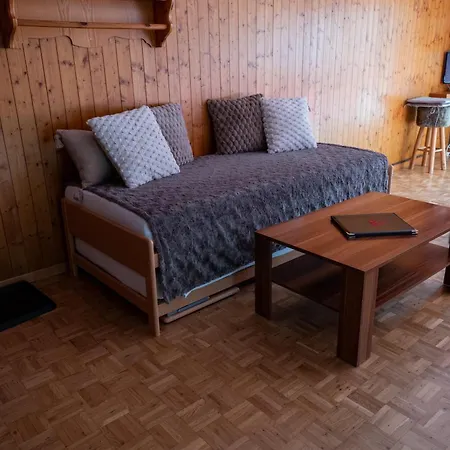 Hotel apartamentowy Le Vieux Valais Ovronnaz