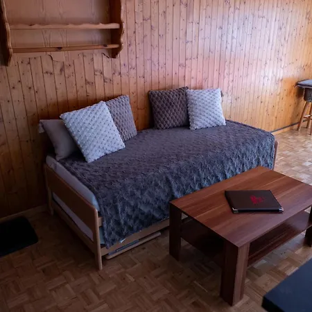 Lägenhetshotell Le Vieux Valais
