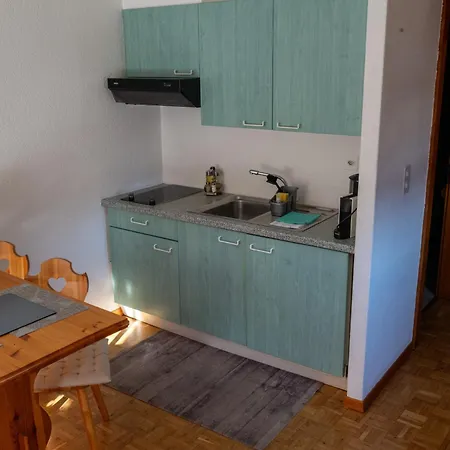 Lägenhetshotell Le Vieux Valais Ovronnaz