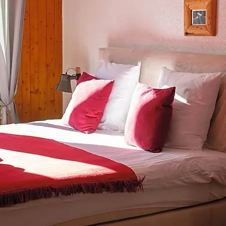 Lägenhetshotell Le Vieux Valais Ovronnaz