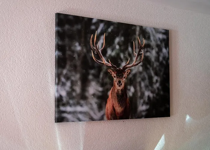 Appart hôtel Le Vieux Valais