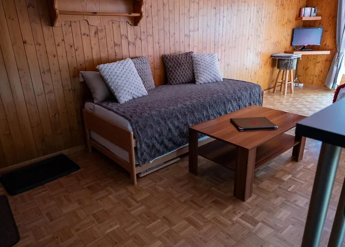 Hotel apartamentowy Le Vieux Valais Ovronnaz