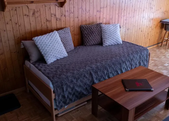 Hotel apartamentowy Le Vieux Valais