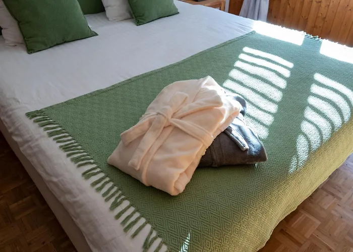 Hotel apartamentowy Le Vieux Valais 3*