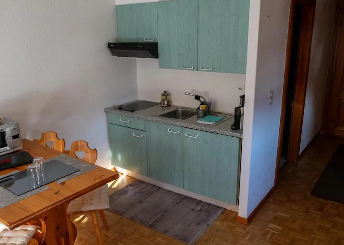 Hotel apartamentowy Le Vieux Valais Ovronnaz