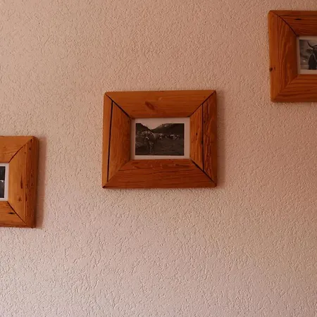 Апарт-отель Le Vieux Valais Овронна